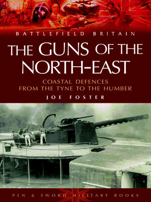 cover image of The Guns of the Northeast